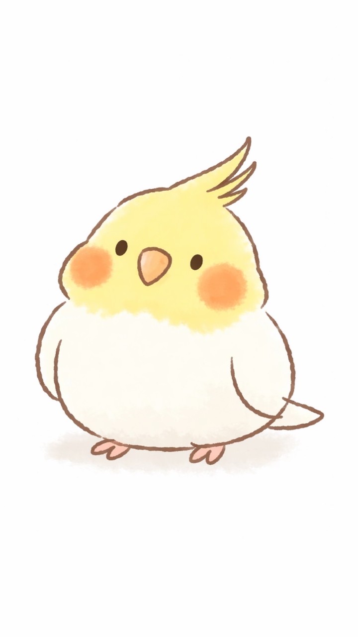 オカメインコ好きな人集まれ！