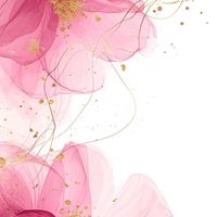 繁花似錦的我們