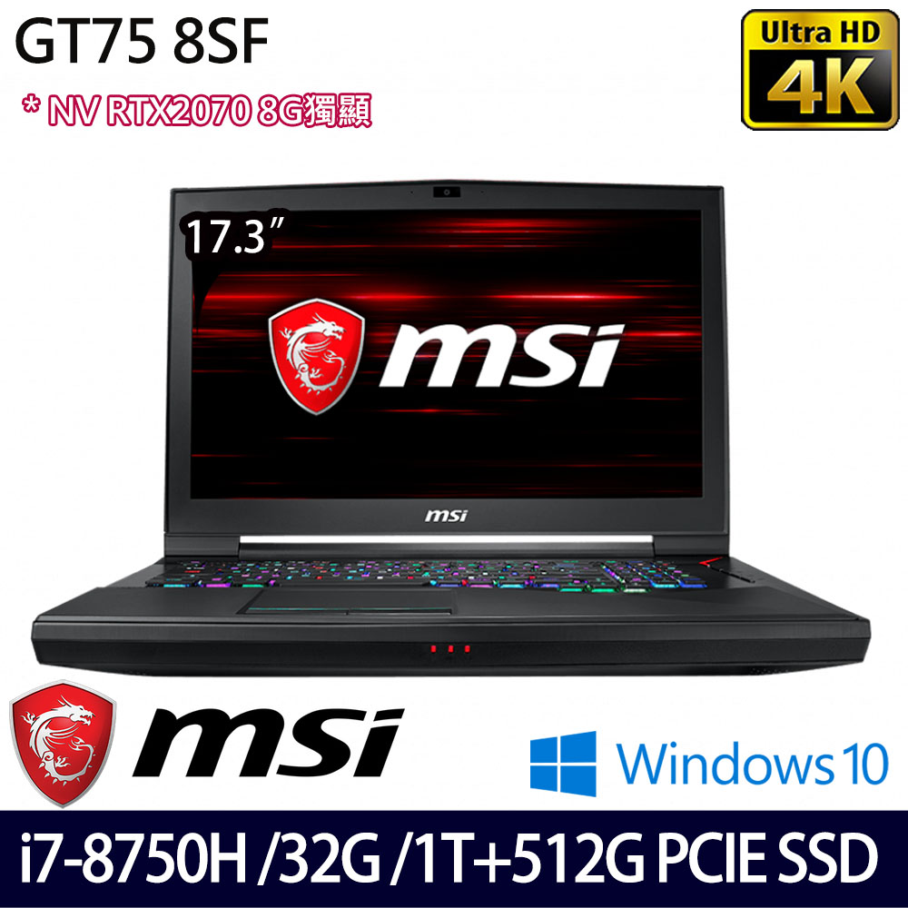 17.3吋4K IPS i7-8750H六核心 32GB DDR4-2666 1TB +512GB PCIe SSD RTX2070 8GB獨顯 Win10/兩年保