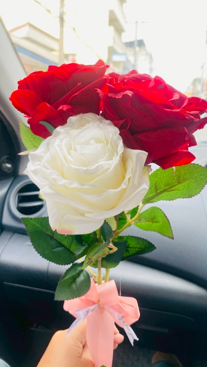 Album khrurose
