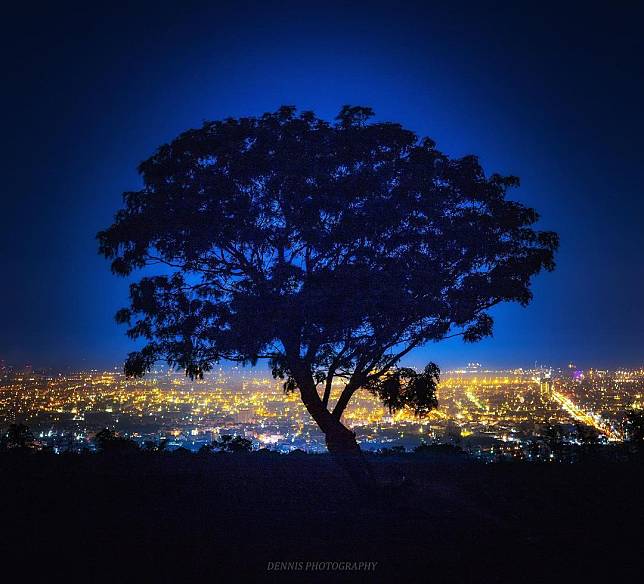 ▲台中九天夕陽之樹。（圖/IG @hanjin0831）