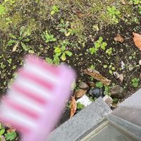 もう中学生な君たち集まれっ！