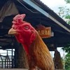 ไก่ชนวังค้างคาวจรรยาฟามร์
