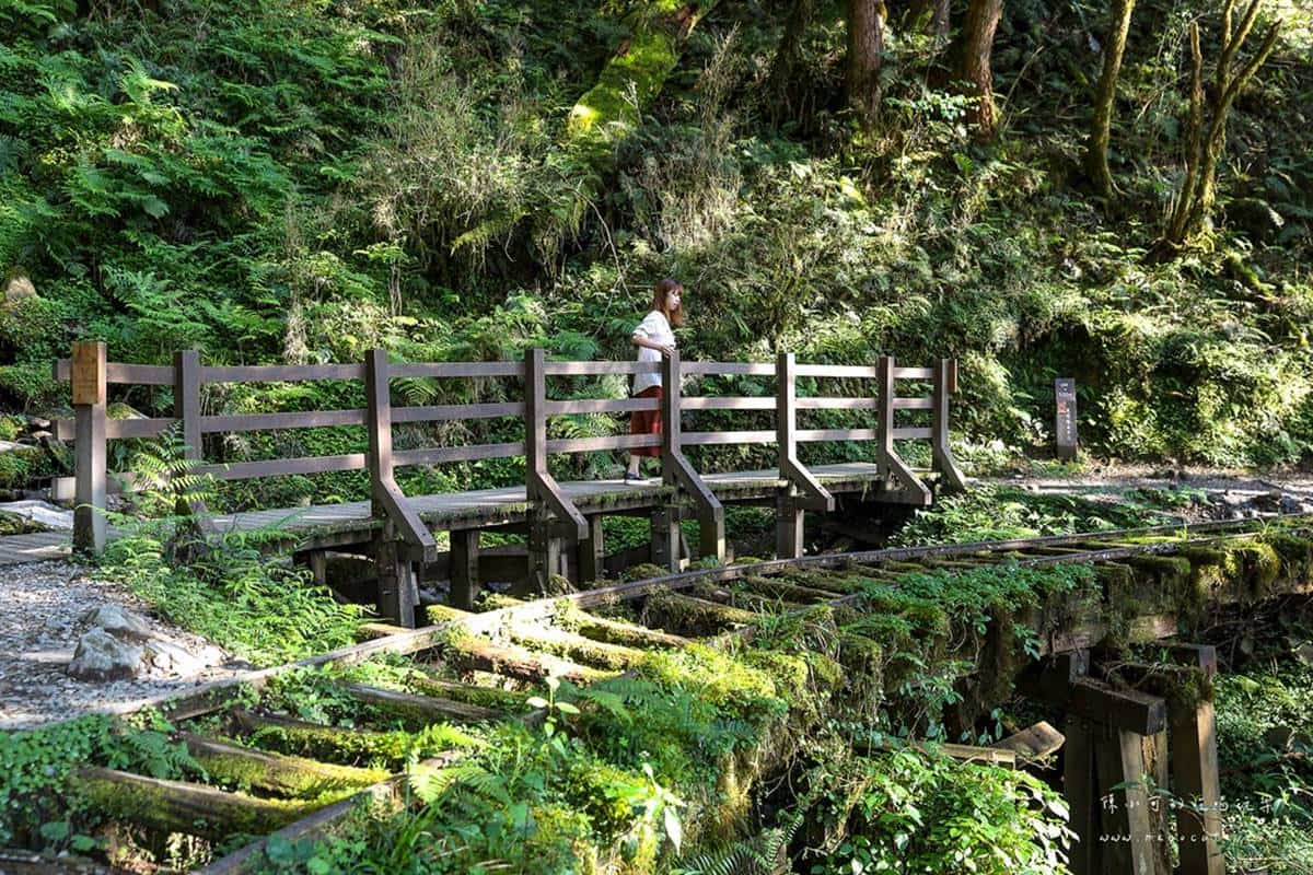 宜蘭不只抹茶山！８條私房步道衝打卡：CNN全球最美、瀑布祕境、15分鐘登頂