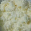 克菲爾菌(奶克)、康普茶分享討論