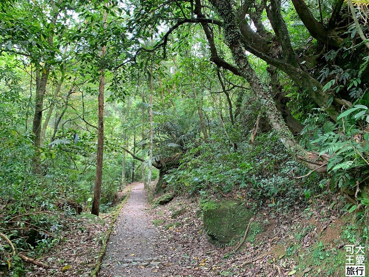 最快５分鐘輕鬆攻頂！新北９條懶人步道：台版「奧入瀨溪流」、絕美陰陽海
