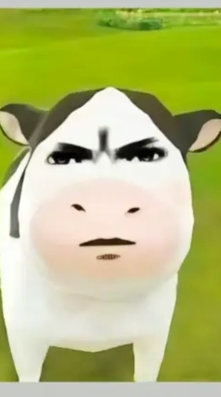 奶牛的抽象社群🐄🌚
