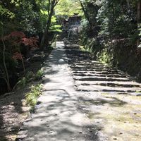 京都旅行好き！