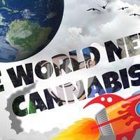 Welcome to the cannabis land🥦🔞