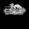 くしゃみの会