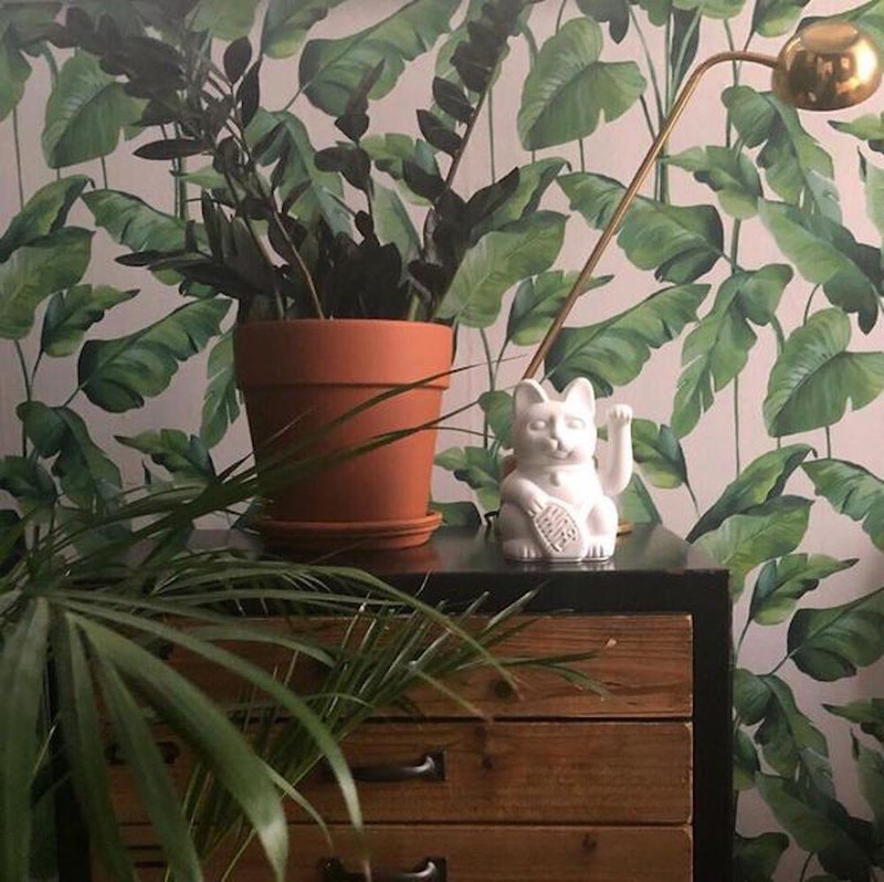 來自德國的 DONKEY 工作室的幸運繽紛招財貓，以傳統招財貓為原型，使用啞光噴漆材料，設計出現代又洋氣的招財吉祥物。它們不僅可以為您的店鋪調性畫龍點睛，吸引路過年輕族群的注意，放在家中的也可以妝點居