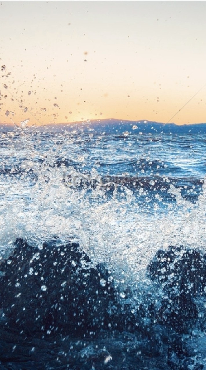 💞鱻大爺水產💞