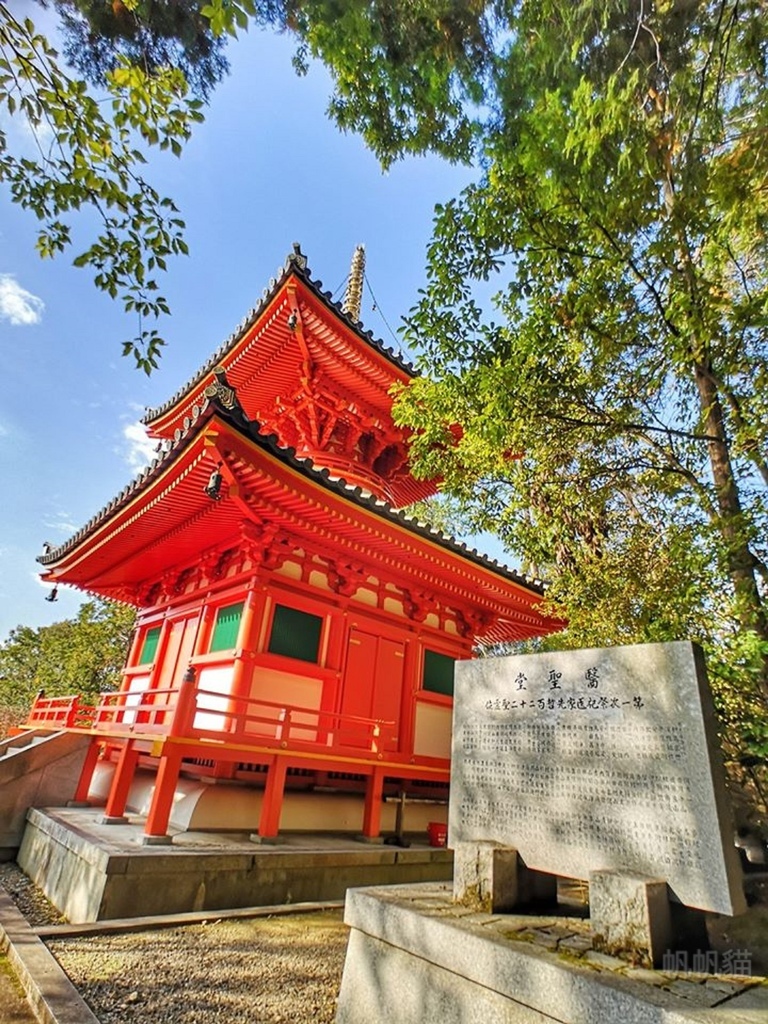 PhotoCap_011