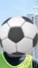 獨協　サッカー
