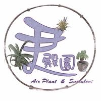 尹殿園