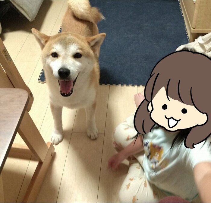 健気すぎて 泣けちゃう 帰宅した飼い主を喜んで出迎える犬の姿にグッとくる