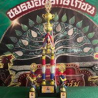 สิทธิชัยฟาร์ม ฝากผสม