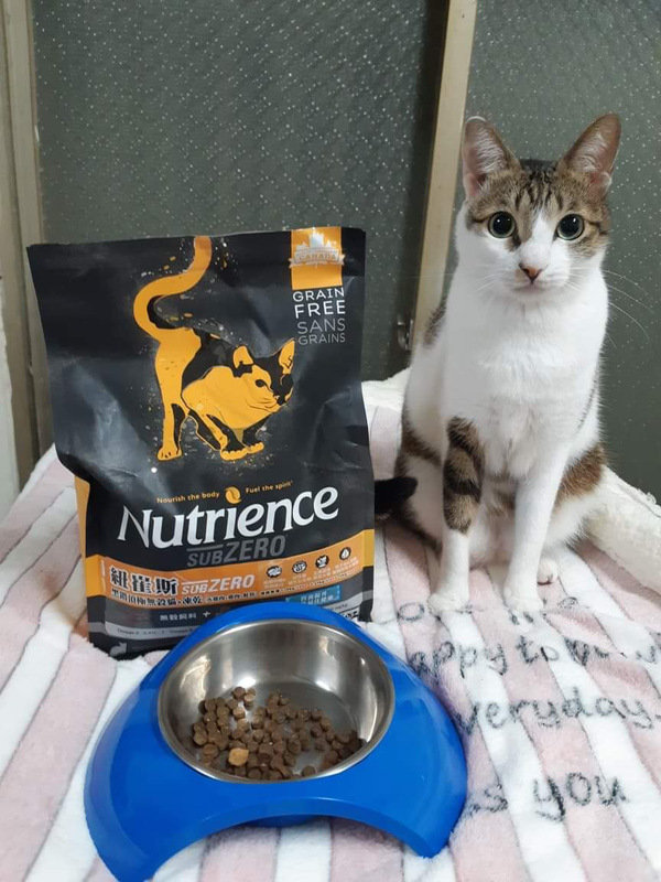 貓飼料推薦-貓奴必備紐崔斯Nutrience 頂級無穀飼料 凍乾系列 成貓無穀 火雞肉+雞肉+鮭魚 2.27kg 開箱分享