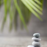 淑寧健康養生資訊分享