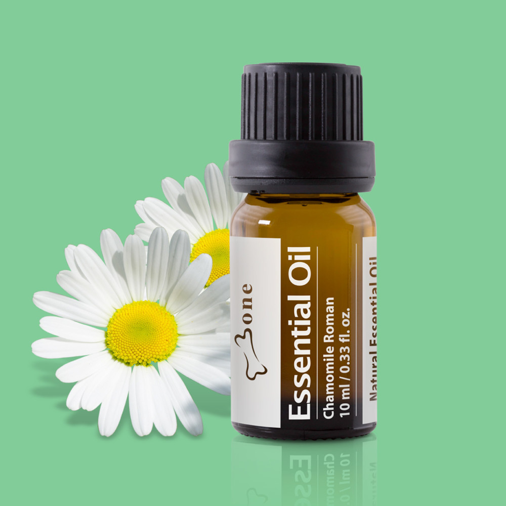 【Bone 官方】洋甘菊精油 Essential Oil - Chamomile Roman 10m