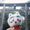 吉運卡哇