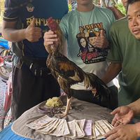 ซุ้ม วัชรพงศ์ฟาร์ม
