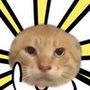 哈基幫