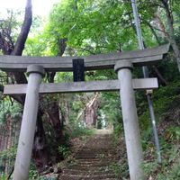 こみっと弁pal