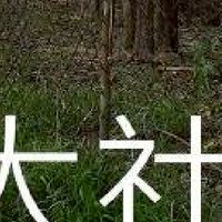 我是大社人