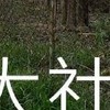 我是大社人