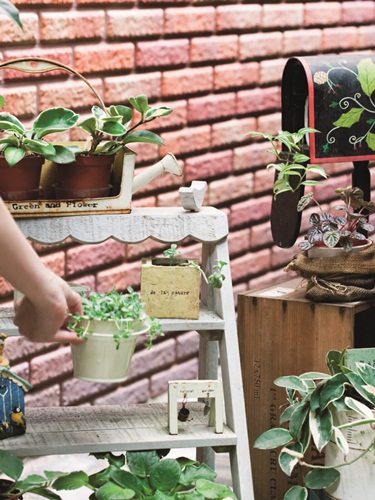 【設計家正團】利用二手家具蒐藏打造歐洲鄉村居