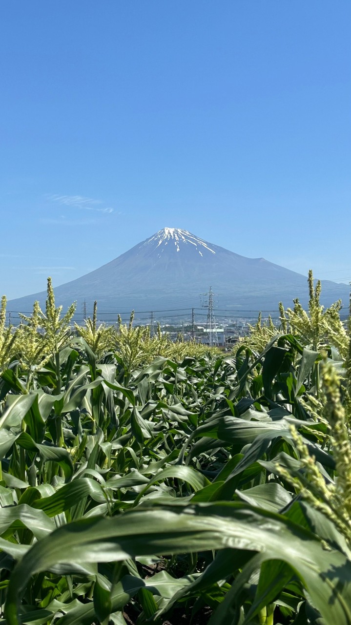 処方薬と生活習慣
