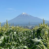 処方薬と生活習慣