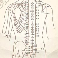 全台按摩整復推拿腳底按摩技術討論區