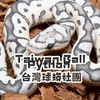 Taiwan Ball Python 台灣球蟒社團