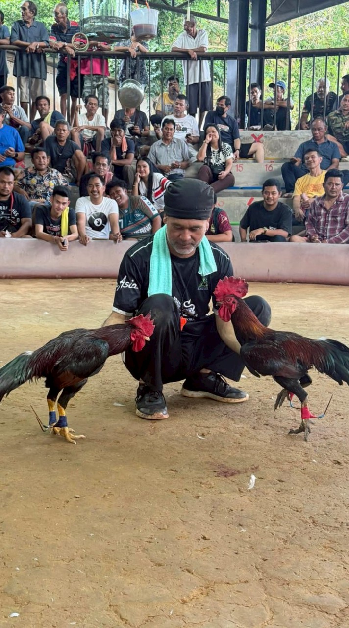 ไก่เดือยใต้ @ma242