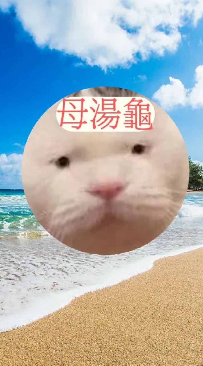母湯龜聊天賴群組（一般用戶）