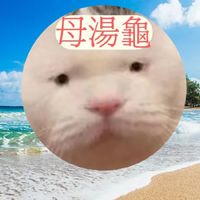 母湯龜聊天賴群組（一般用戶）
