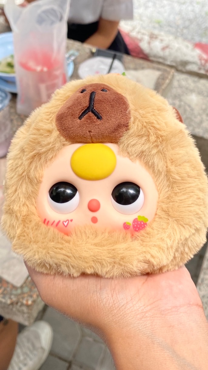 Capy Art Toy 🧸🌈