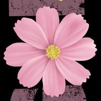 みんなで楽しく仲良く雑談\( ᐛ )/♫全国大人の恋バナ癒し部屋🌼承認早🌼