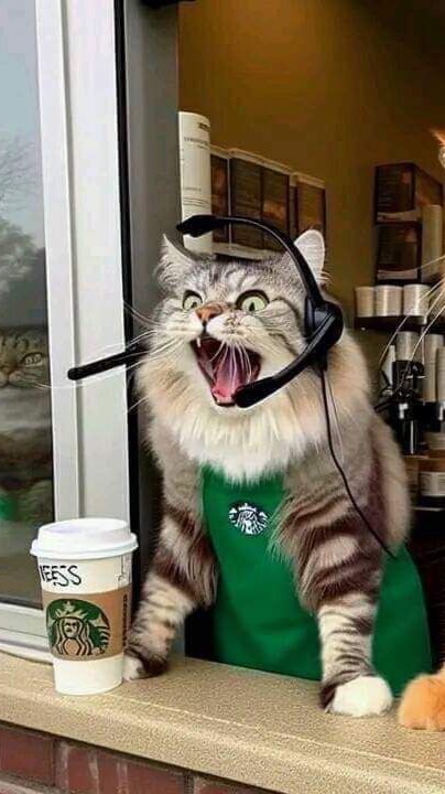 ผีเฝ้ากราฟ10000จุด📈✅