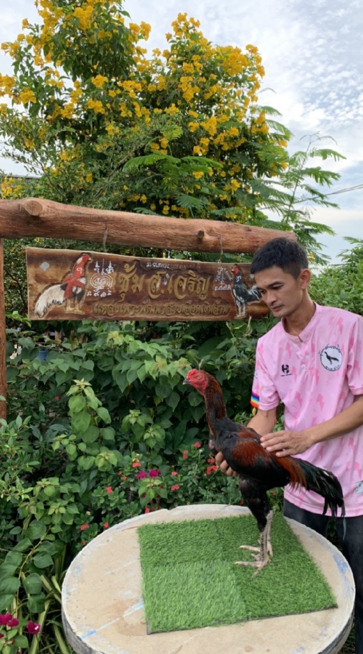 ซุ้ม ส.เจริญ