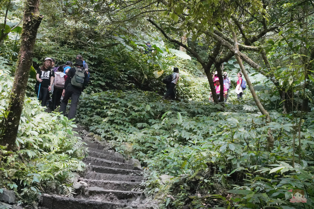 宜蘭.礁溪 臺灣的抹茶冰淇淋山，網美級小百岳仙境，挑戰聖母山莊步道，順收五峰旗瀑布