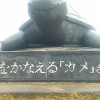奄美大好きな人集まれー！💕