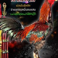ซุ้มไก่เพชรละไมฟาร์ม🐔