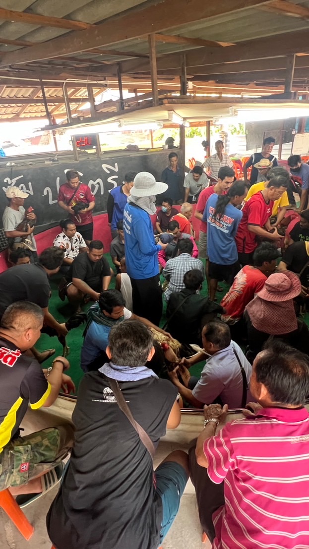 สนามชนไก่บางแพ อ.บางแพ จ.ราชบุรี