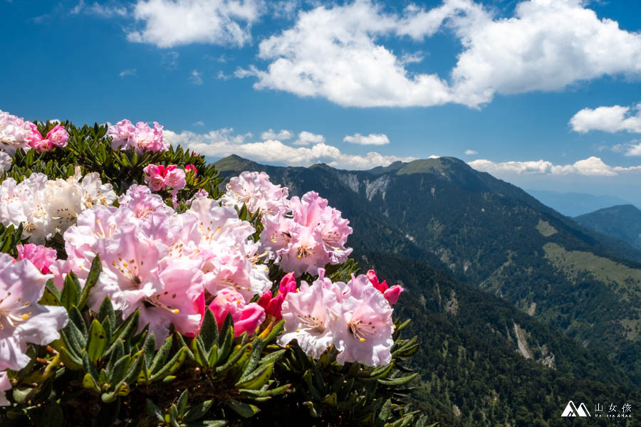 山女孩MelissaxMao冒險生活_奇萊主北_奇萊北峰主峰三天兩夜登山紀錄-136.jpg