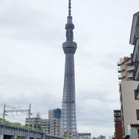 weiwei的旅遊小代購