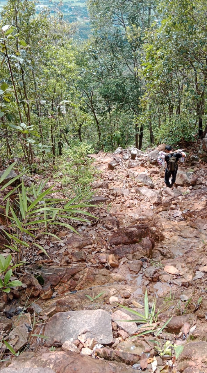 สำรวจป่าทางเดินดอยหัวง้ม ตั้งแค้มป์