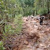 สำรวจป่าทางเดินดอยหัวง้ม ตั้งแค้มป์